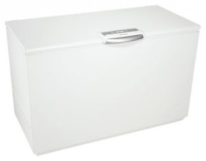 Electrolux ECF 23461 W Tủ lạnh ảnh