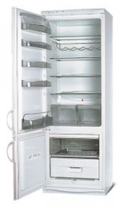 Snaige RF315-1703A Tủ lạnh ảnh