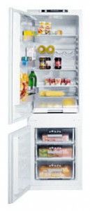 Blomberg KSE 1551 I Холодильник фото