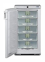 Liebherr GSP 2226 Холодильник фотография