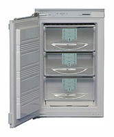 Liebherr GI 1023 Холодильник фотография