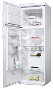 Electrolux ERD 3420 W Холодильник фото