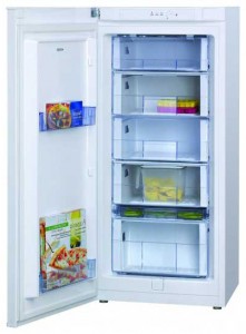 Hansa FZ220BSW Холодильник фотография