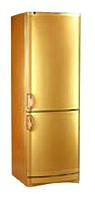 Vestfrost BKF 405 B40 Gold Холодильник фотография