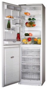 ATLANT ХМ 6025-180 Холодильник фотография