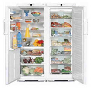 Liebherr SBS 6102 Холодильник фотография
