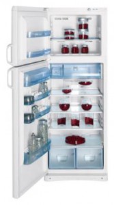 Indesit TAN 5 FNF S Холодильник фотография