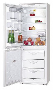 ATLANT МХМ 1809-14 Холодильник фото