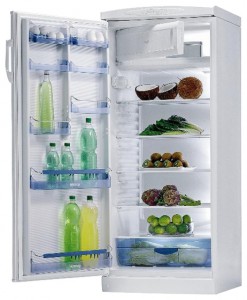 Gorenje RB 6288 W Refrigerator larawan