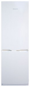 Snaige RF31SH-S10001 Refrigerator larawan
