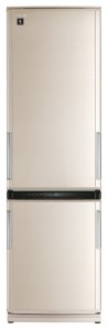 Sharp SJ-WP371TBE Холодильник фотография