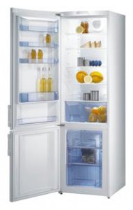 Gorenje NRK 60375 DW Холодильник фотография