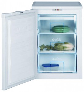 BEKO FNE 1070 Tủ lạnh ảnh