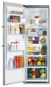 Samsung RR-92 EESL Холодильник фотография