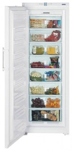 Liebherr GNP 4156 Холодильник фото