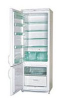 Snaige RF315-1513A GNYE Refrigerator larawan