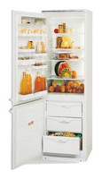 ATLANT МХМ 1804-03 Холодильник фото