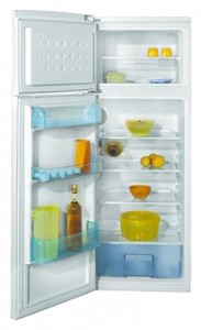 BEKO DSA 25020 Холодильник фото
