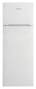 BEKO DS 227010 Refrigerator larawan