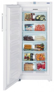 Liebherr GNP 3166 Холодильник фото