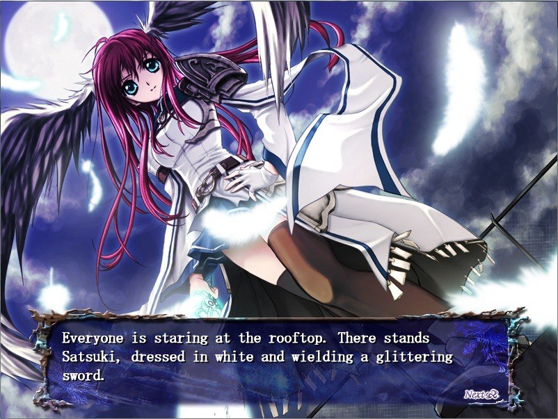 Seinarukana: The Spirit of Eternity Sword 2 Steam CD Key 22.59 usd