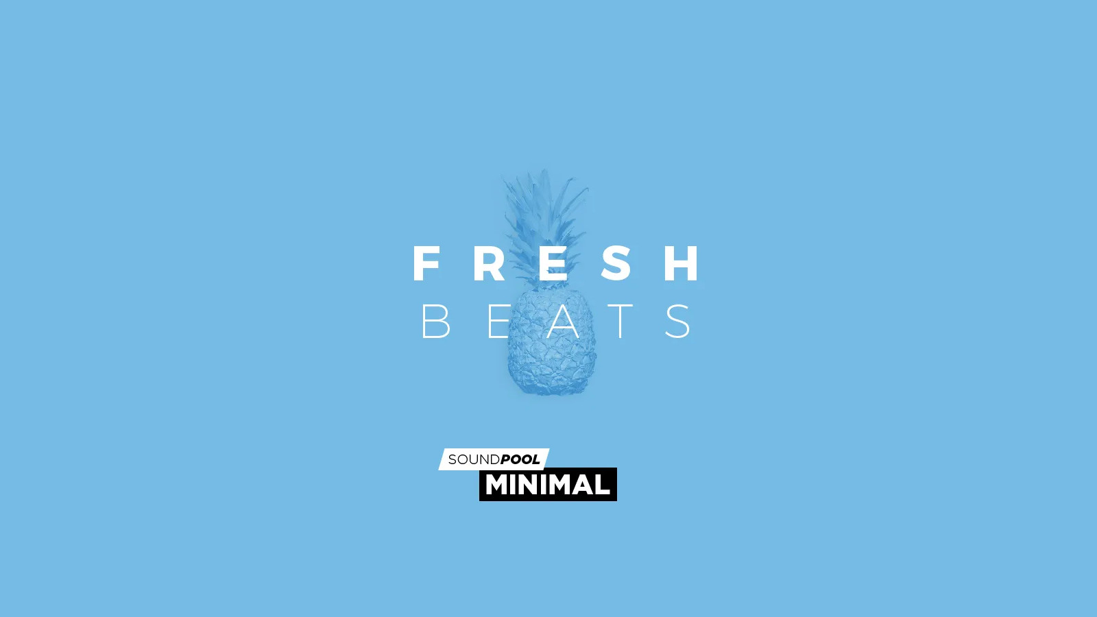 MAGIX Soundpool Fresh Beats ProducerPlanet CD Key 5.65 usd