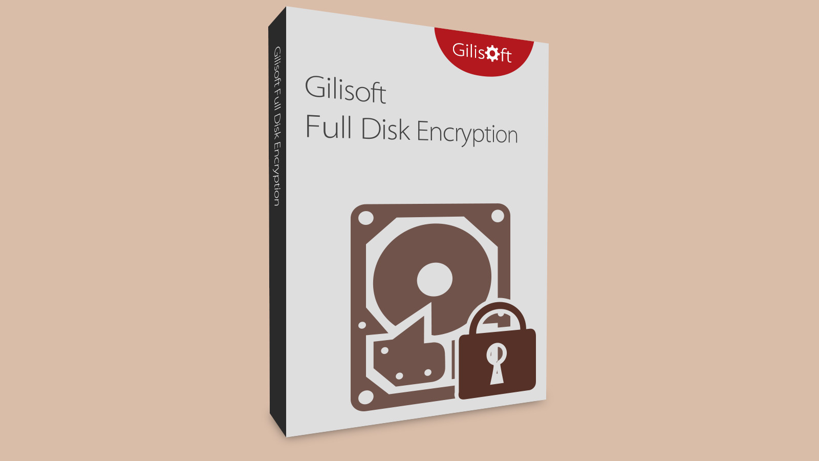 Gilisoft Full Disk Encryption CD Key 19.72 usd