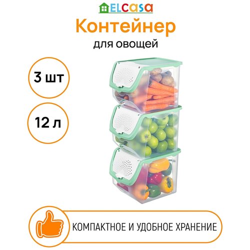 Контейнер для овощей 12 л 33х23х23,5 см EL Casa Прозрачно-фисташковый, 3 штуки фото