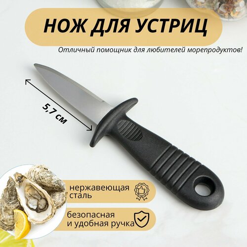 Нож для устриц, 14×4,4 см, длина лезвия 5,7см, цвет чёрный фото