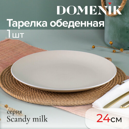 Тарелка обеденная Domenik SCANDY MILK 24см фото