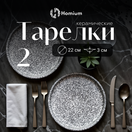 Набор обеденных тарелок Homium Graphite, 2шт, D22см, цвет серый фото