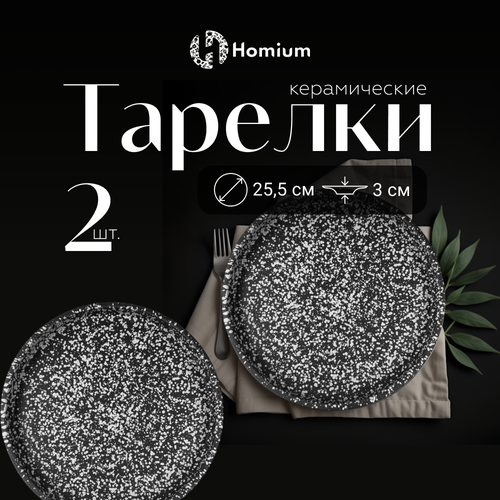 Набор сервировочных тарелок Homium Graphite, 2шт, D26см, цвет серый фото