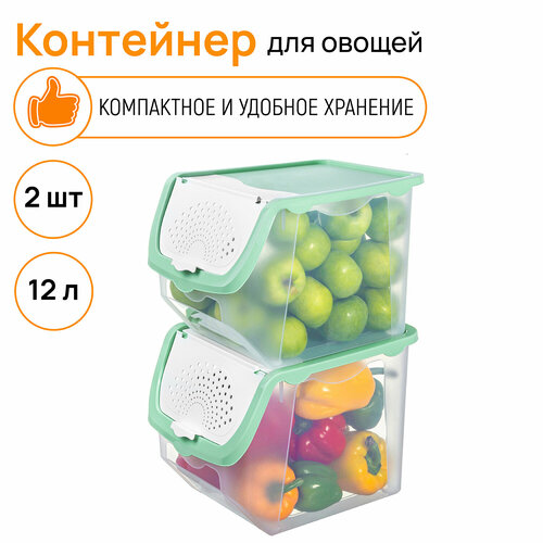 Контейнер для овощей 12 л 33х23х23,5 см EL Casa Прозрачно-фисташковый, 2 штуки фото