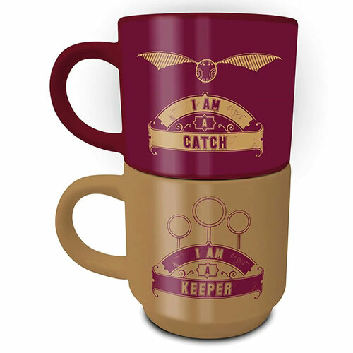 Кружка Harry Potter Quidditch Catch & Keeper GP85863 фото