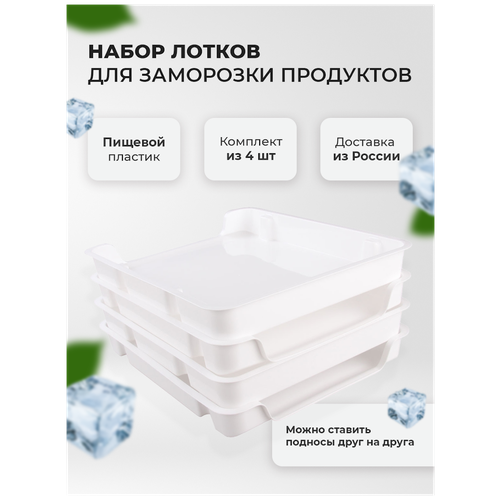 Набор лотков для заморозки продуктов 347х290х43 мм, М6183 Альтернатива фото