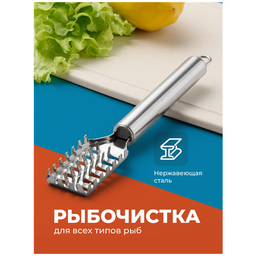 Рыбочистка Shiny Kitchen, Нож кухонный для чистки и разделки рыбы, для удаления чешуи фото