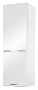 Amica FK328.4 Холодильник фотография