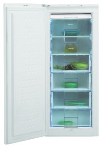 BEKO FSA 21300 Tủ lạnh ảnh
