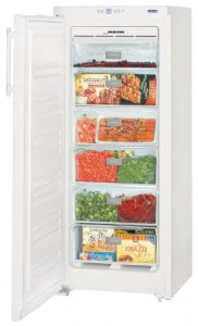 Liebherr GNP 2313 Холодильник фотография