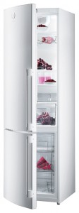 Gorenje RK 65 SYW2 Tủ lạnh ảnh