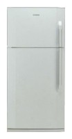 BEKO DN 150100 Холодильник фотография
