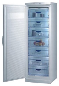 Gorenje F 6313 Refrigerator larawan