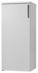 Hansa FZ208.3 Холодильник фото