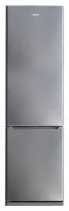 Samsung RL-41 SBPS Kühlschrank Foto