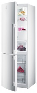 Gorenje RK 65 SYW-F1 Холодильник фотография