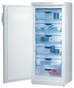 Gorenje F 6243 W Refrigerator larawan