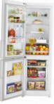 Samsung RL-43 TRCSW Холодильник