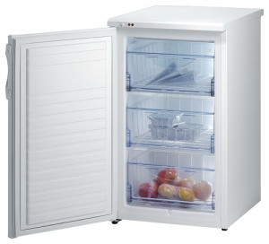 Gorenje F 50106 W Refrigerator larawan