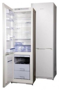 Snaige RF39SH-S10001 Refrigerator larawan