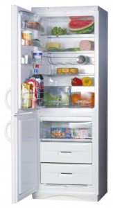 Snaige RF310-1803A Tủ lạnh ảnh